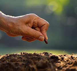 planting_key_benefit_img